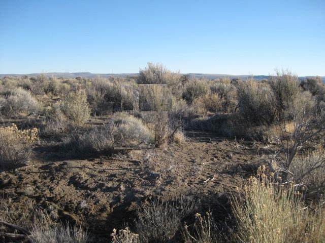 4300 TL Star Lane - Photo 1