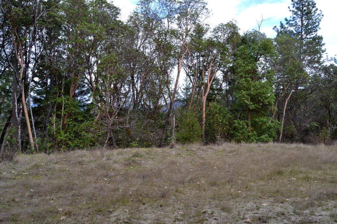 Lot 4 Shadow Mountain Tl# 1904 Way - Photo 1