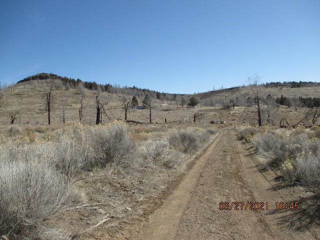 Lot 8 Mountain Trout Lane - Photo 1