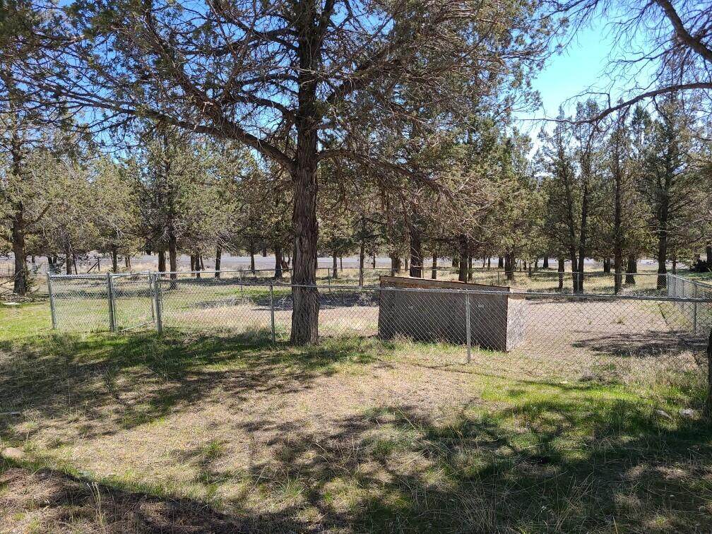 14140 Easy Street - Photo 1