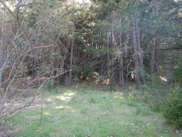 Old Stage Road - Photo 1