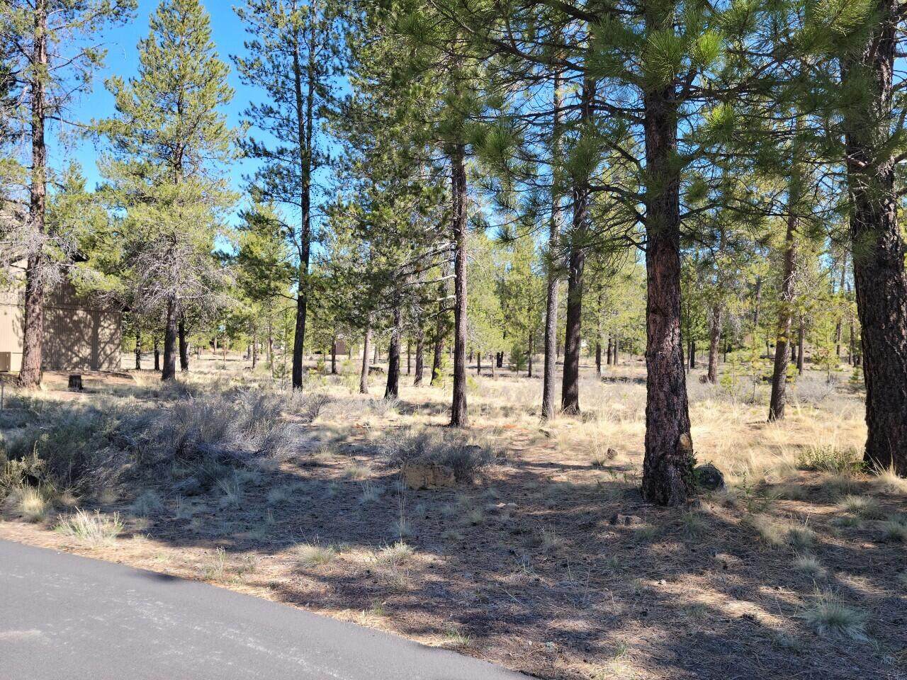 57832 Mt Adams Lane - Photo 1