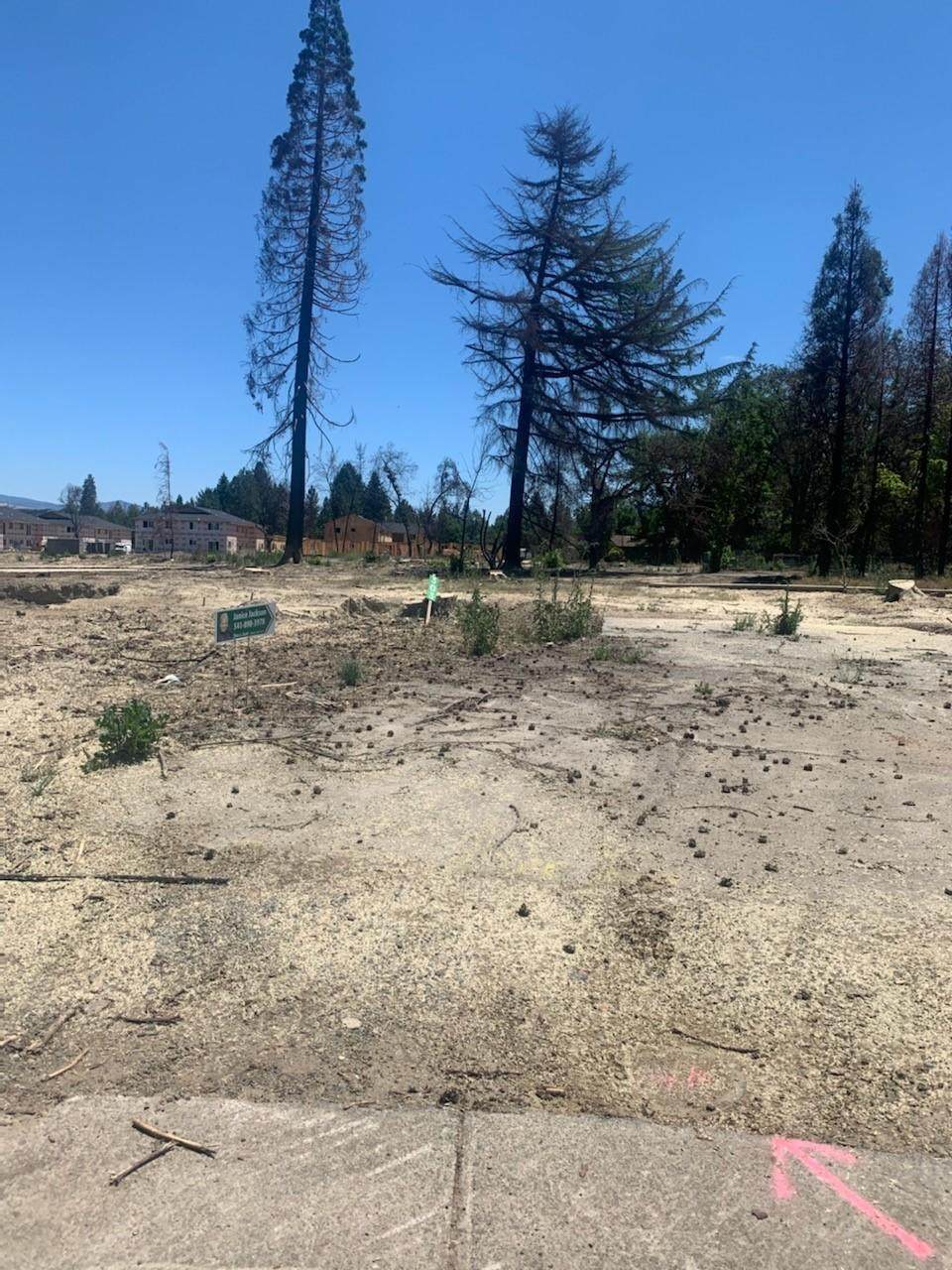 303 Emily Lane - Photo 1