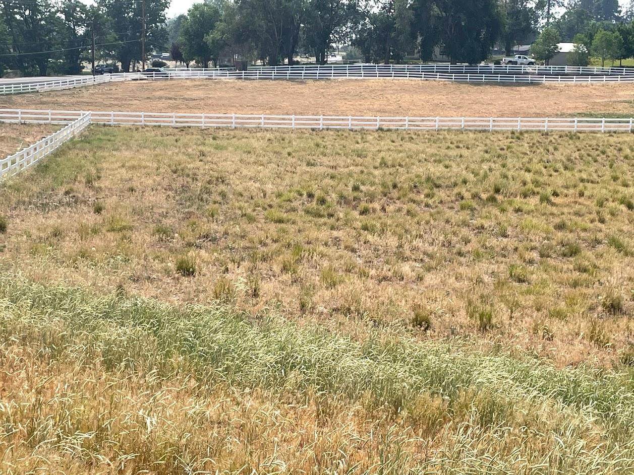 Vale Road 1.01 Acres - Photo 1