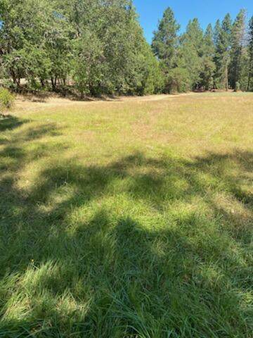 1467 Pinecrest Drive - Photo 1