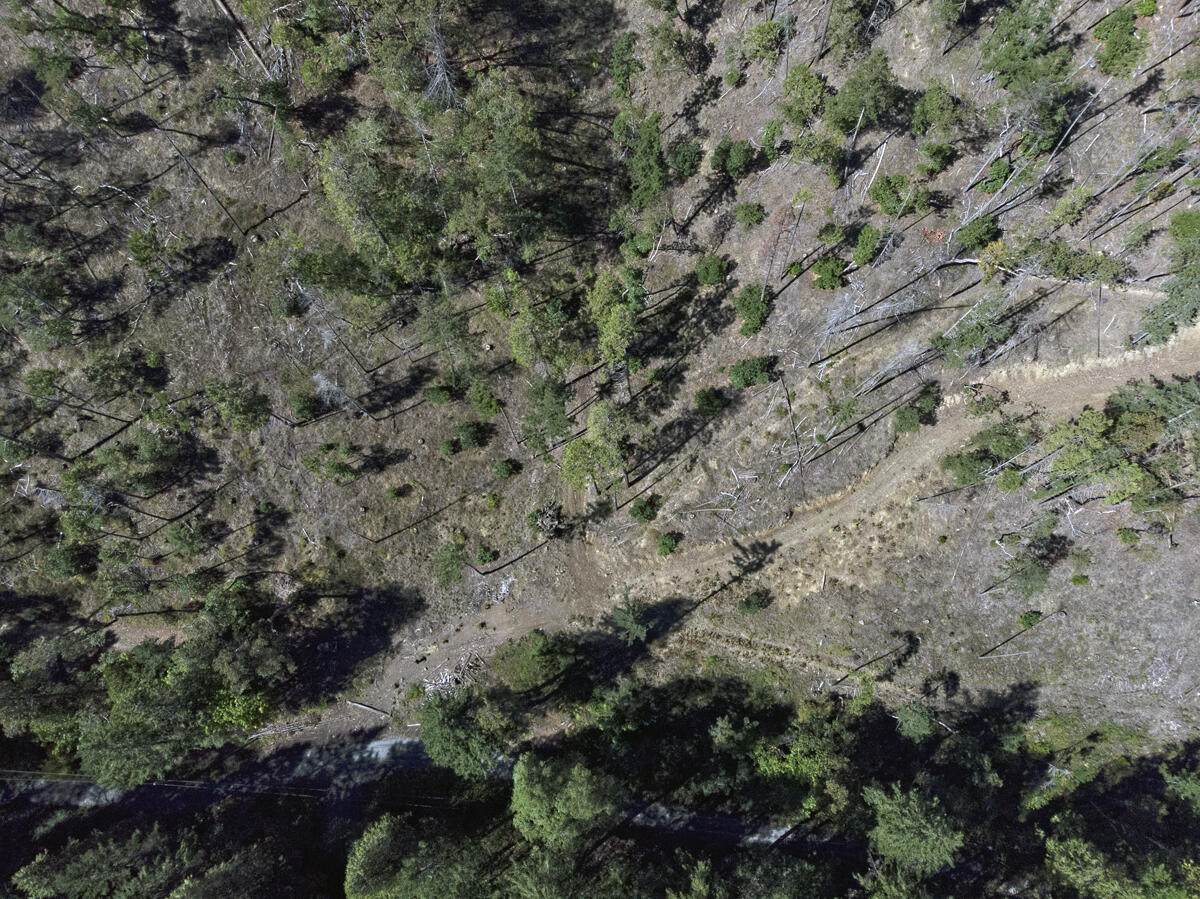 NKA Coleman Creek Road - Photo 1