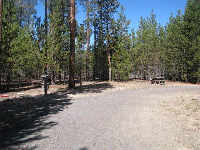 51209 Festis Avenue - Photo 1