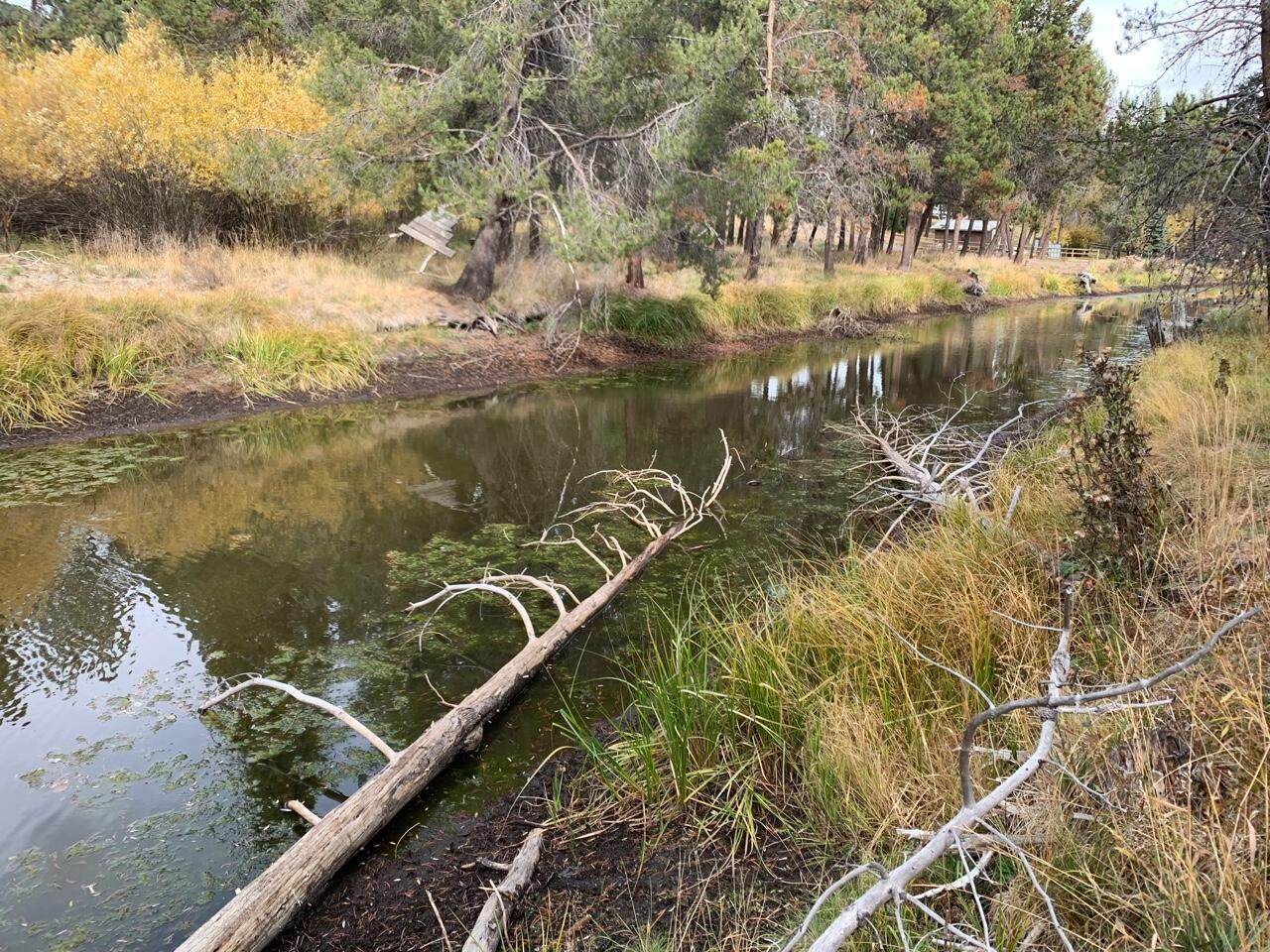 17032 Island Loop Way - Photo 1