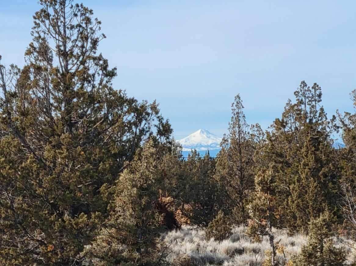TL 5100 Pawnee Loop - Photo 1