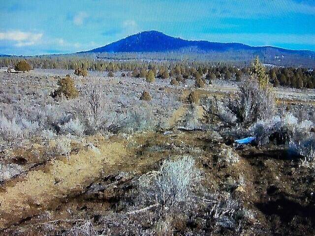 Sycan Road - Photo 1