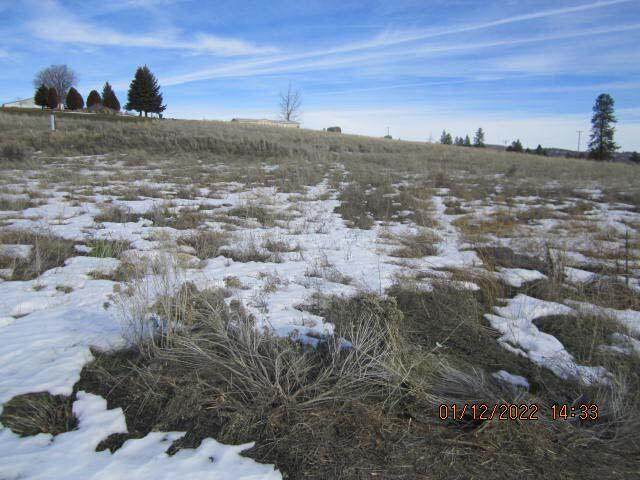 34015 Fawndale Place - Photo 1