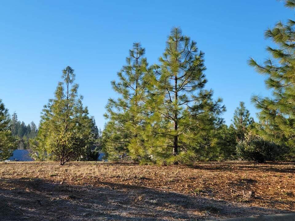 308 Cedar Ridge - Photo 1