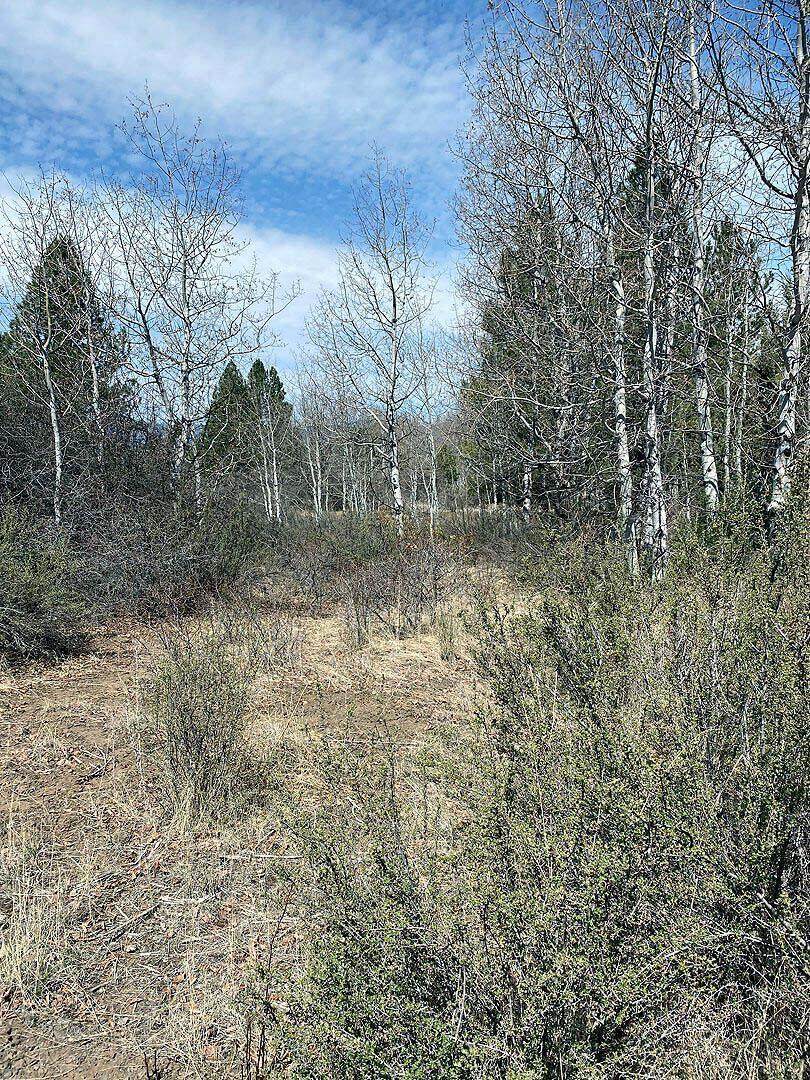 Lot 16 Shoreview Drive - Photo 1