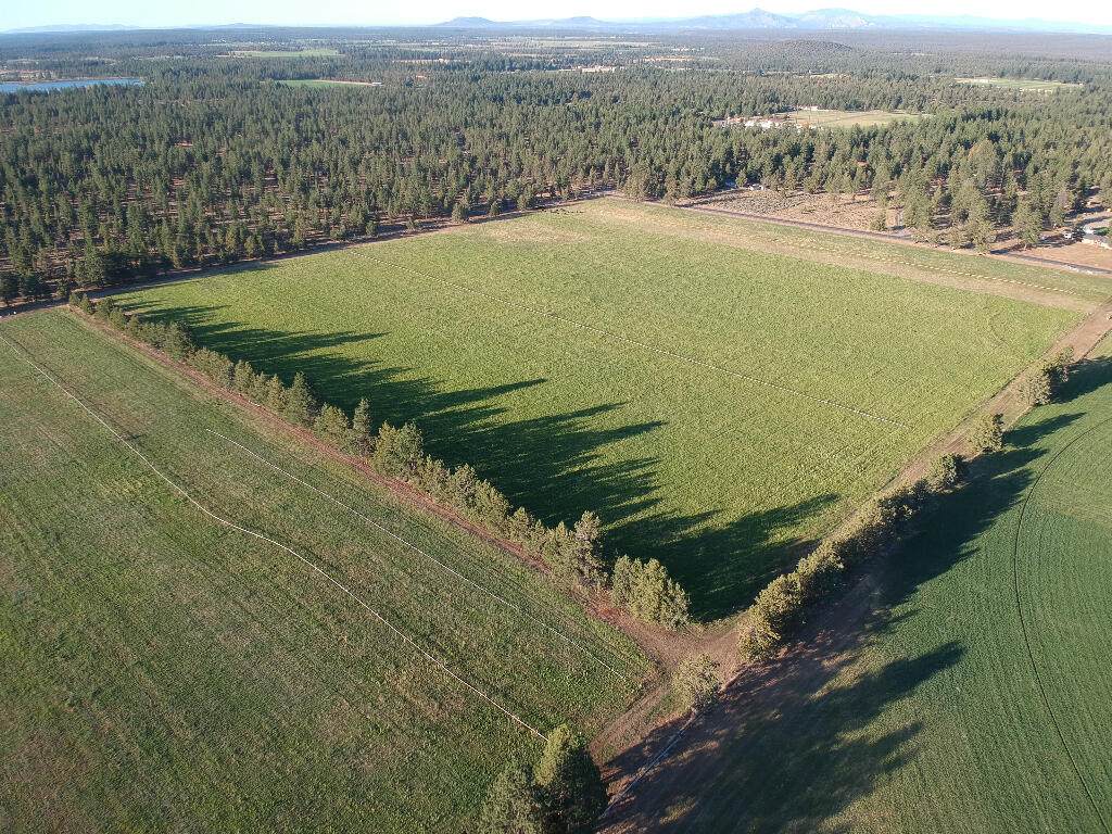 16501 Peterson Ridge Road - Photo 1