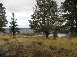 851 Bailey Mountain Road - Photo 1