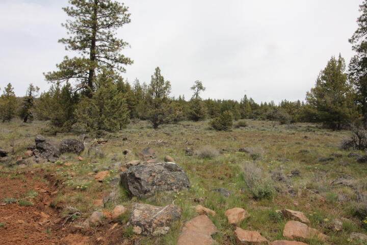 Bluejay Drive - Photo 1