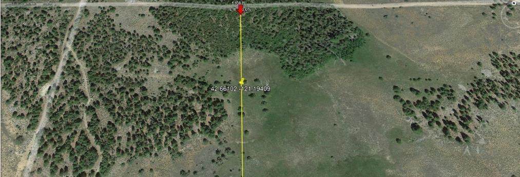 Bull Pine Road - Photo 1