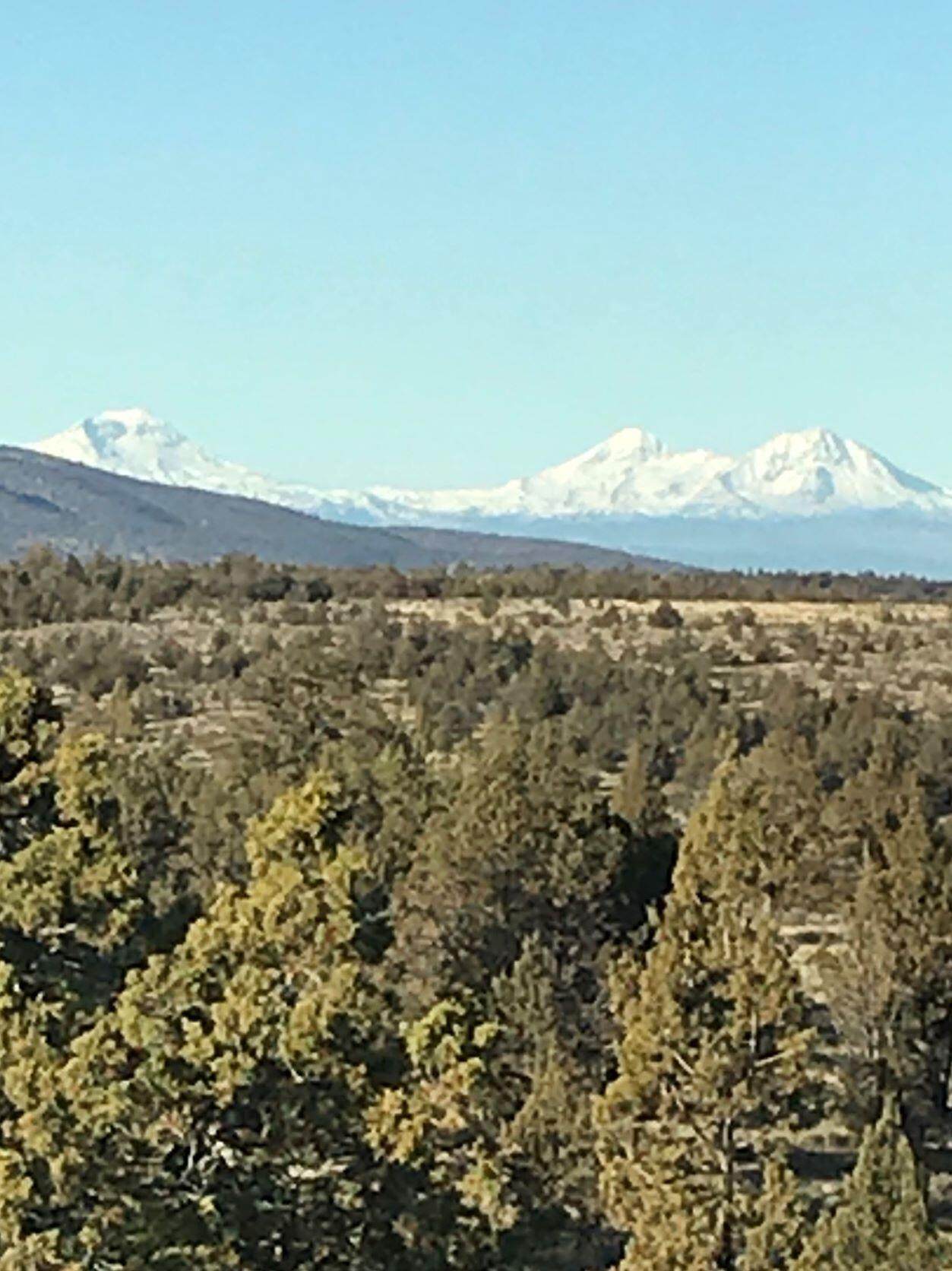 TBD Bluebird Drive - Photo 1