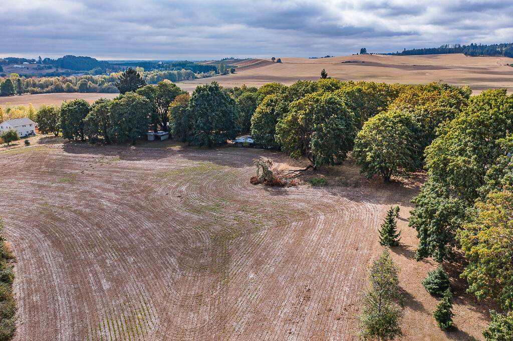 26498 Coon Road - Photo 1