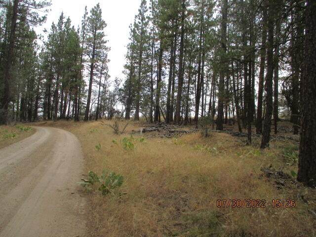 Lot 4400 Chicken Hawk Drive - Photo 1