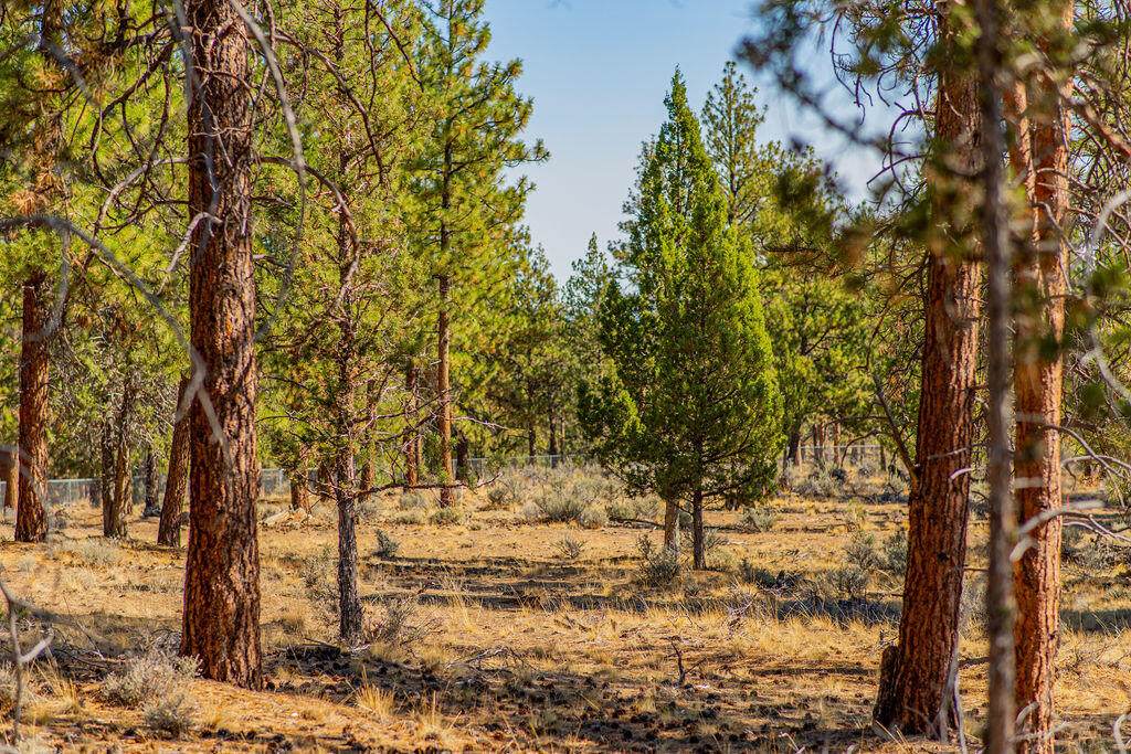19121 Concannon Drive, Lot 14 - Photo 1