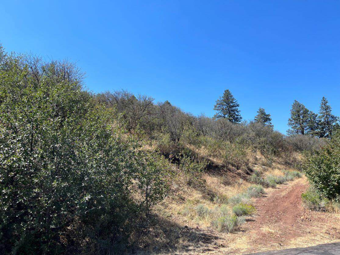 Lot 55 Peregrine Heights - Photo 1
