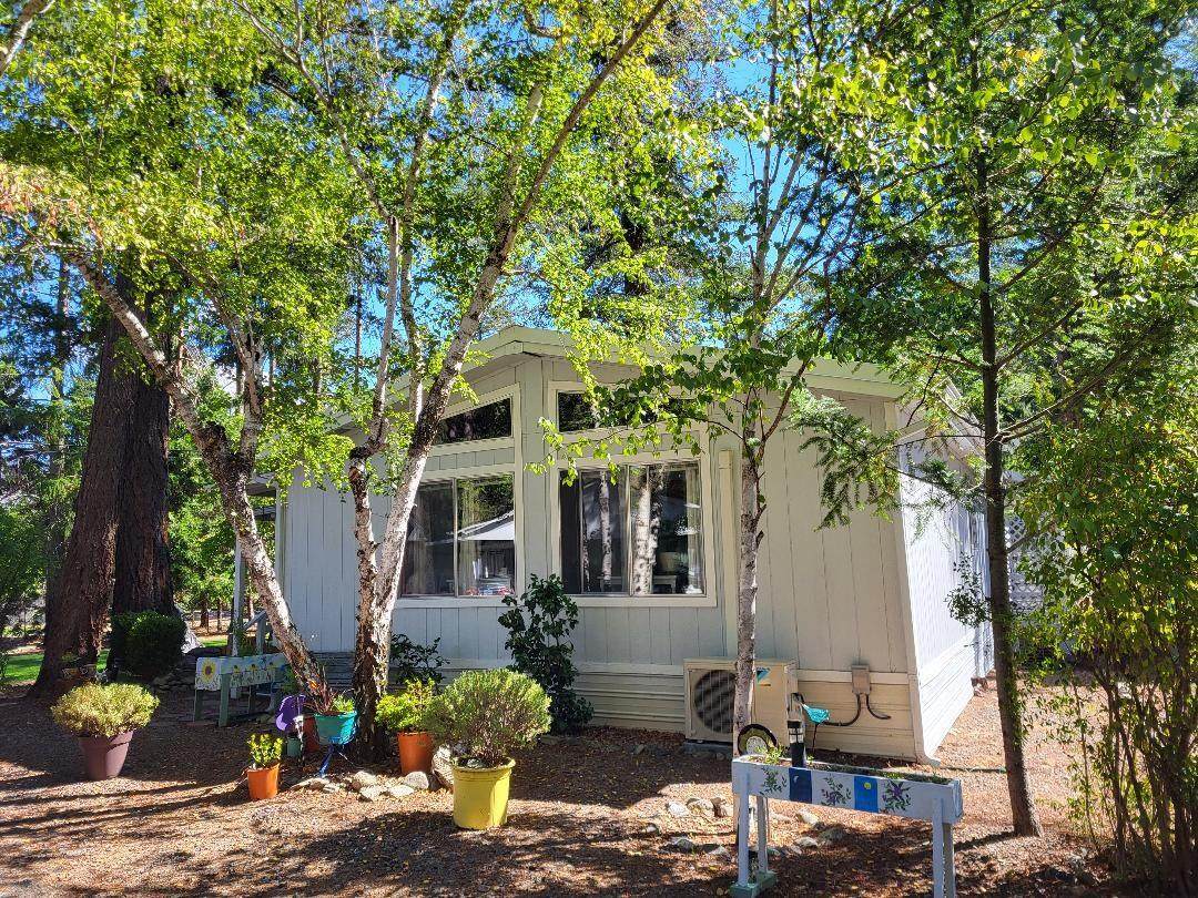 537 Thompson Creek Road - Photo 1