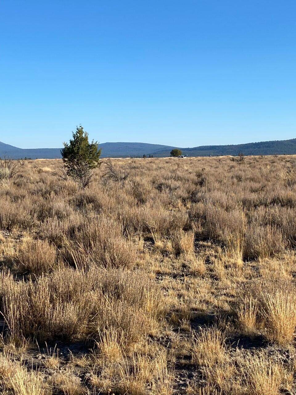 Lot 1700 Tableland Road - Photo 1