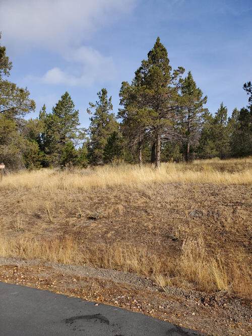 1135 Oregon Ash Circle - Photo 1