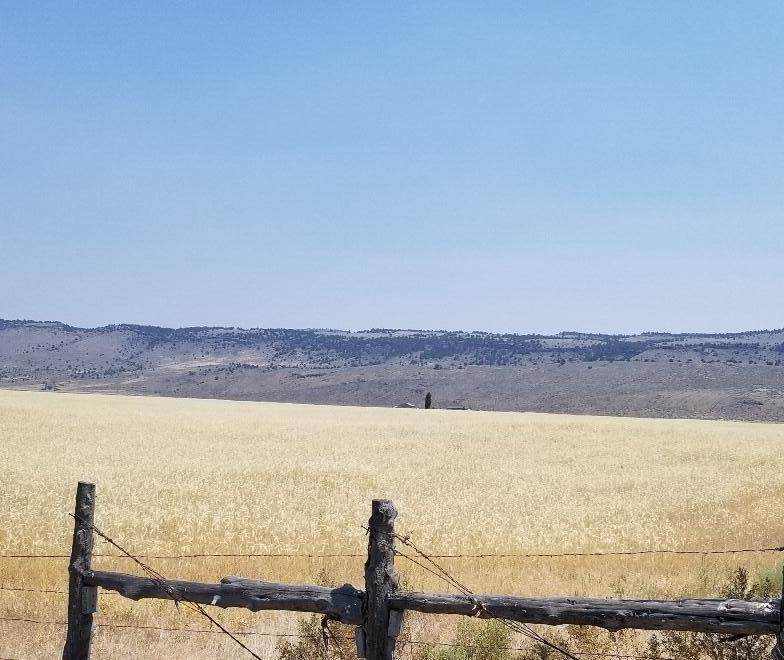 000 Jackalope Ln. - Photo 1