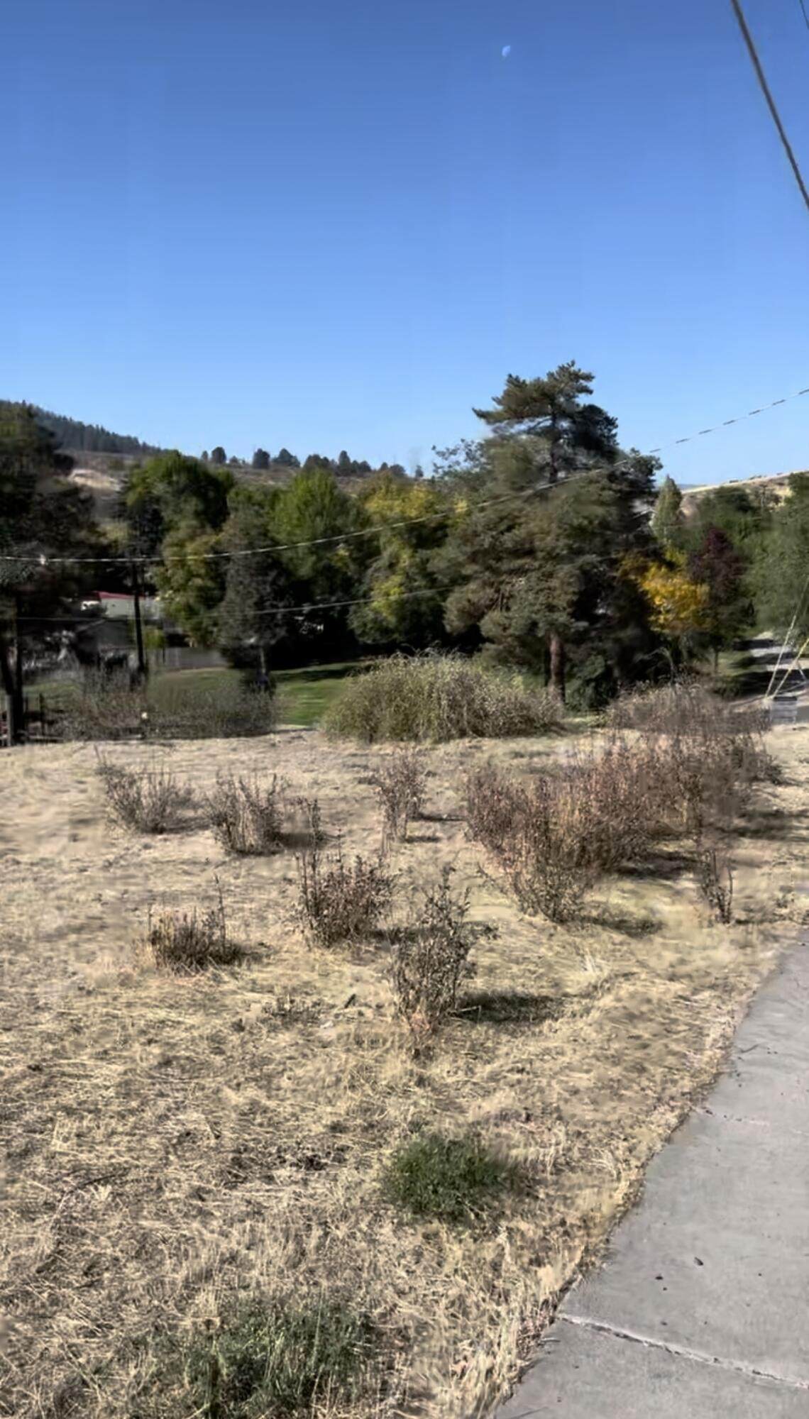 0 3rd Street - Photo 1