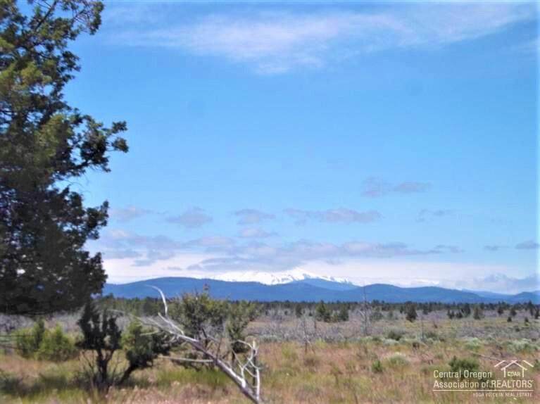 10498 Graham Road - Photo 1