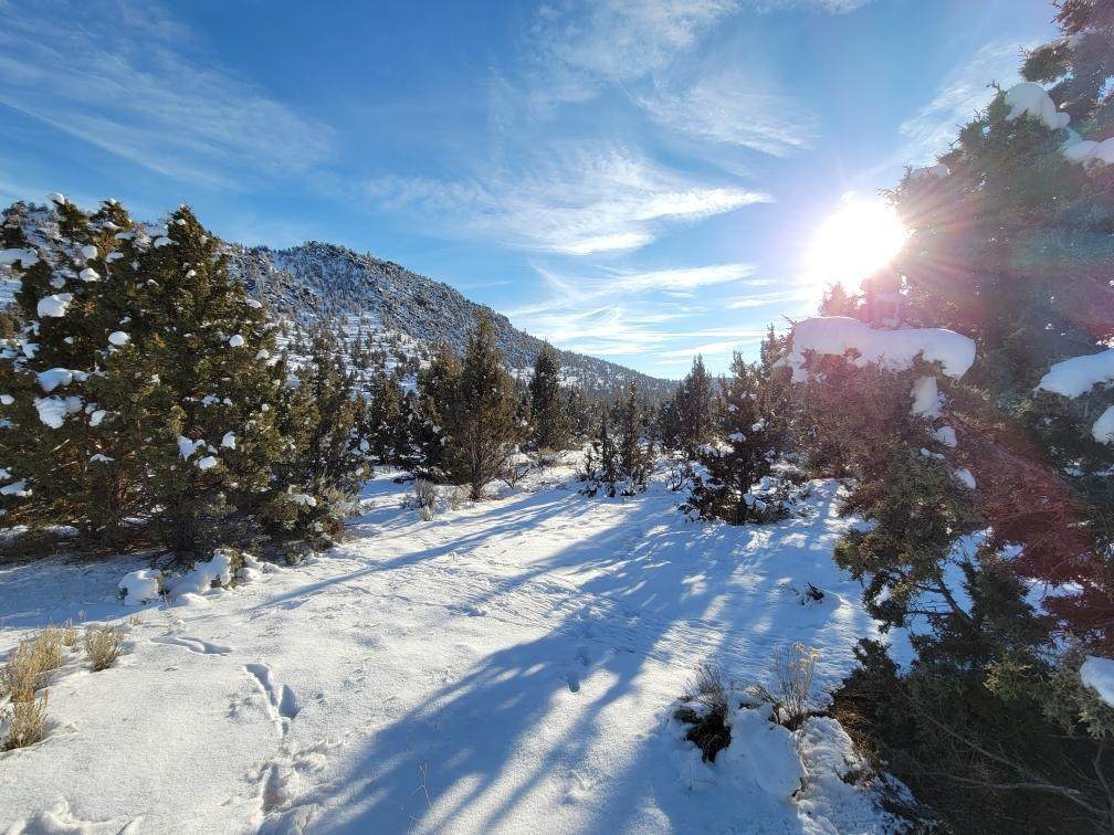 16300 Juniper Canyon Road - Photo 1
