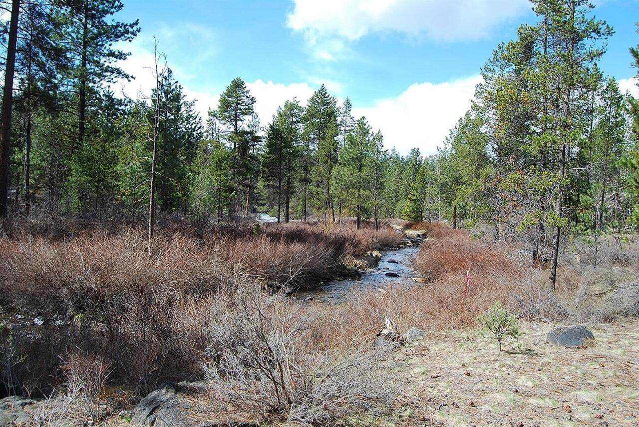 53525 Kokanee Way - Photo 1