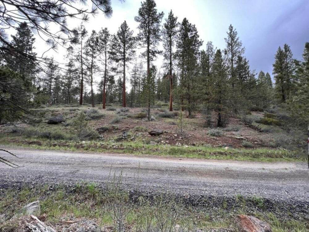 Lot 22 Whitetail Lane - Photo 1
