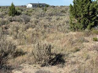  Christmas Valley Highway - Photo 1