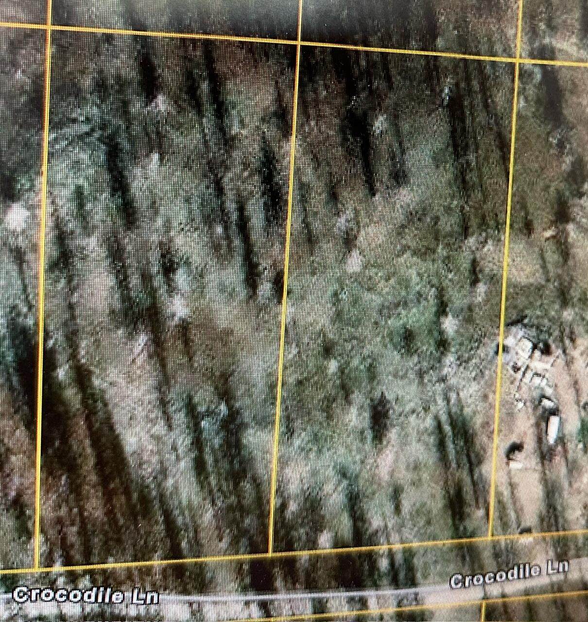 Lot 1200 Crocodile Lane - Photo 1