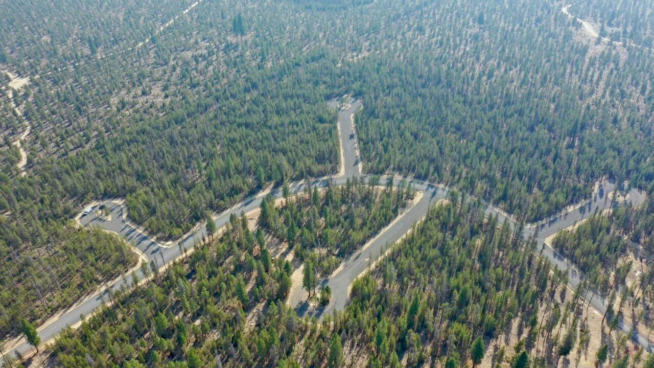  Stirrup Drive - Photo 1