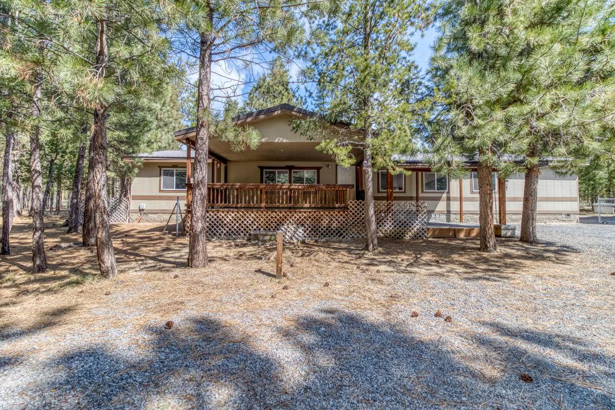 52084 Red Pine - Photo 1