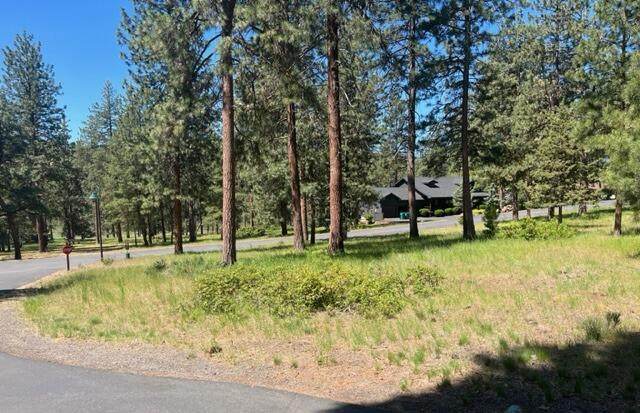 Merganser Road - Photo 1