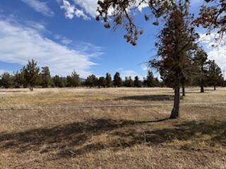 61160 Obernolte Road - Photo 1
