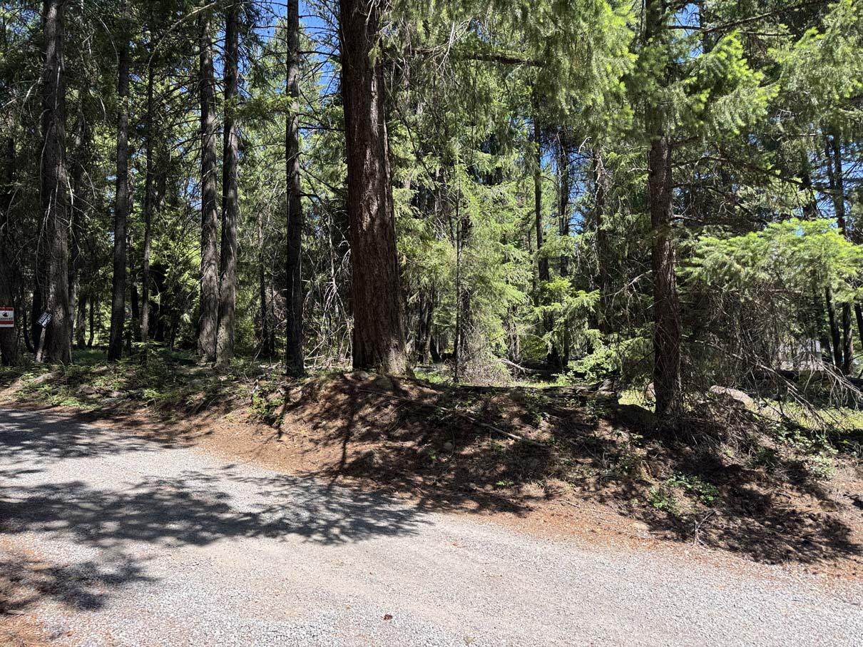 Rocky Point Road - Photo 1