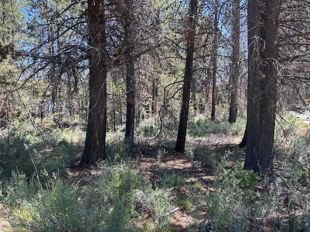 Hwy 97 - Photo 1