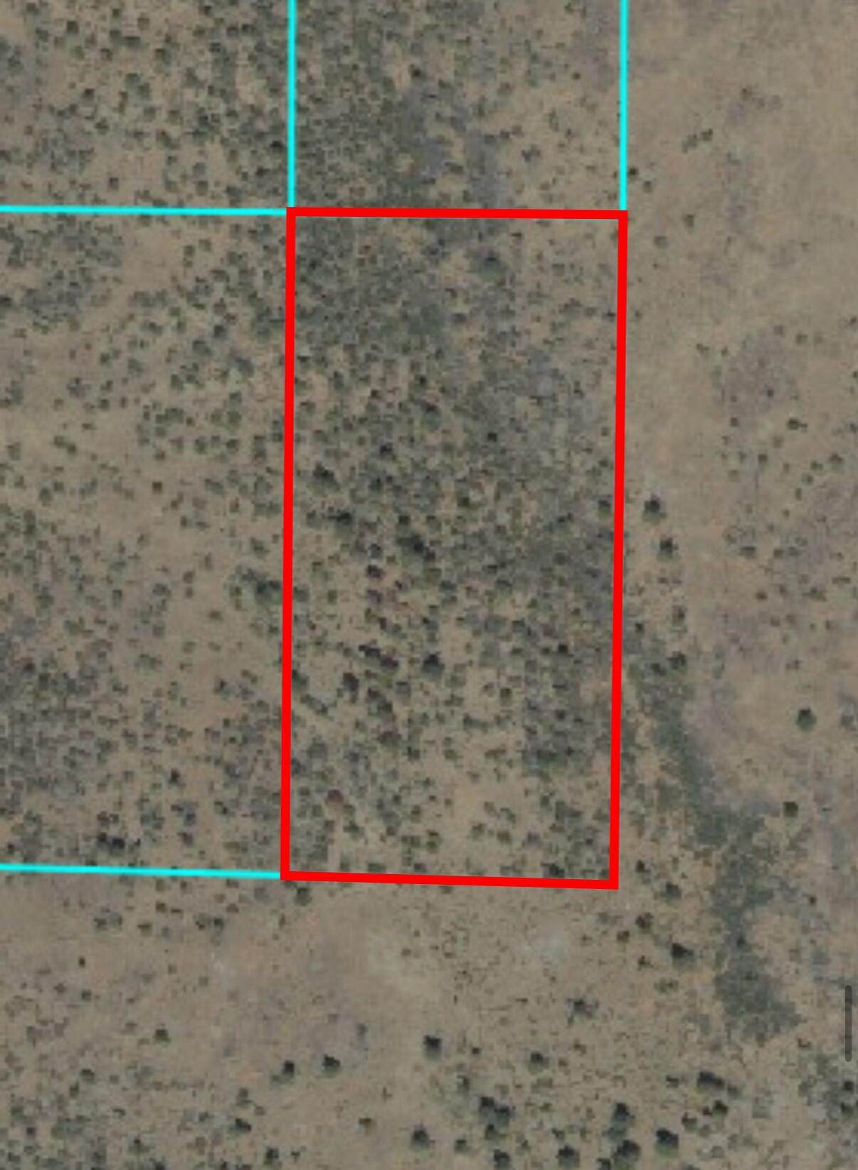  Nka Bly Mountain Cutoff Road - Photo 1