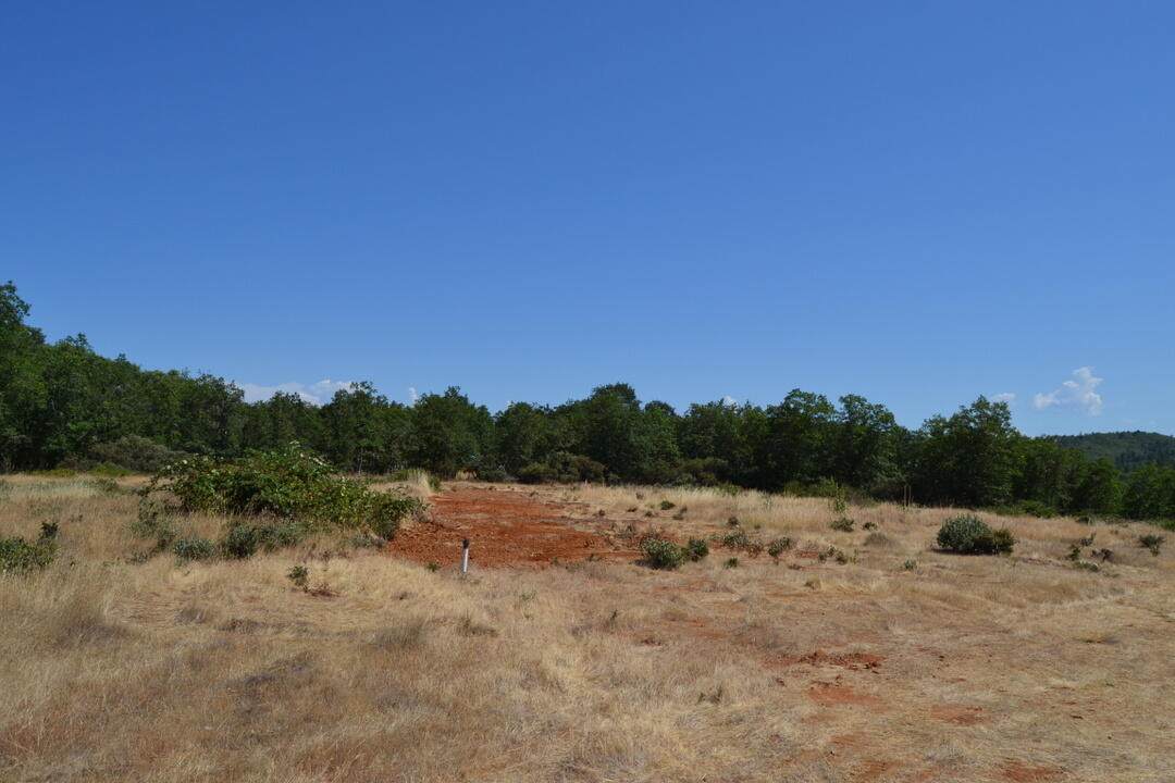 575 Harris Road - Photo 1