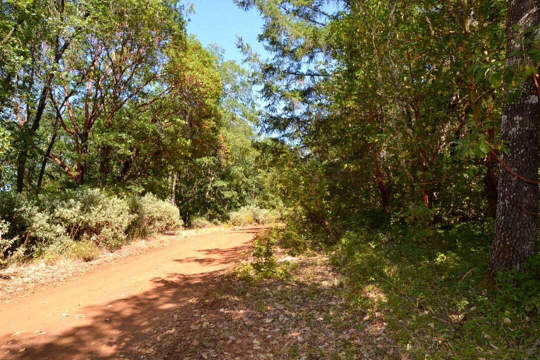 143 Jonathan Street - Photo 1