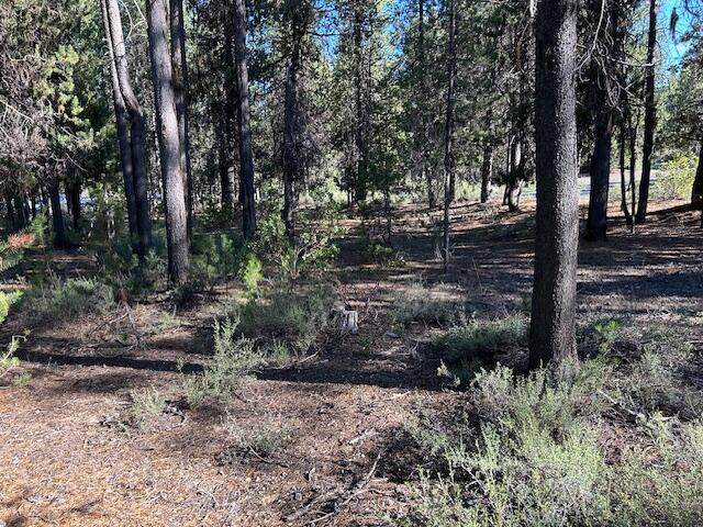 2 Pine Creek Loop - Photo 1