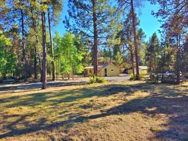 52433 Pine Drive - Photo 1