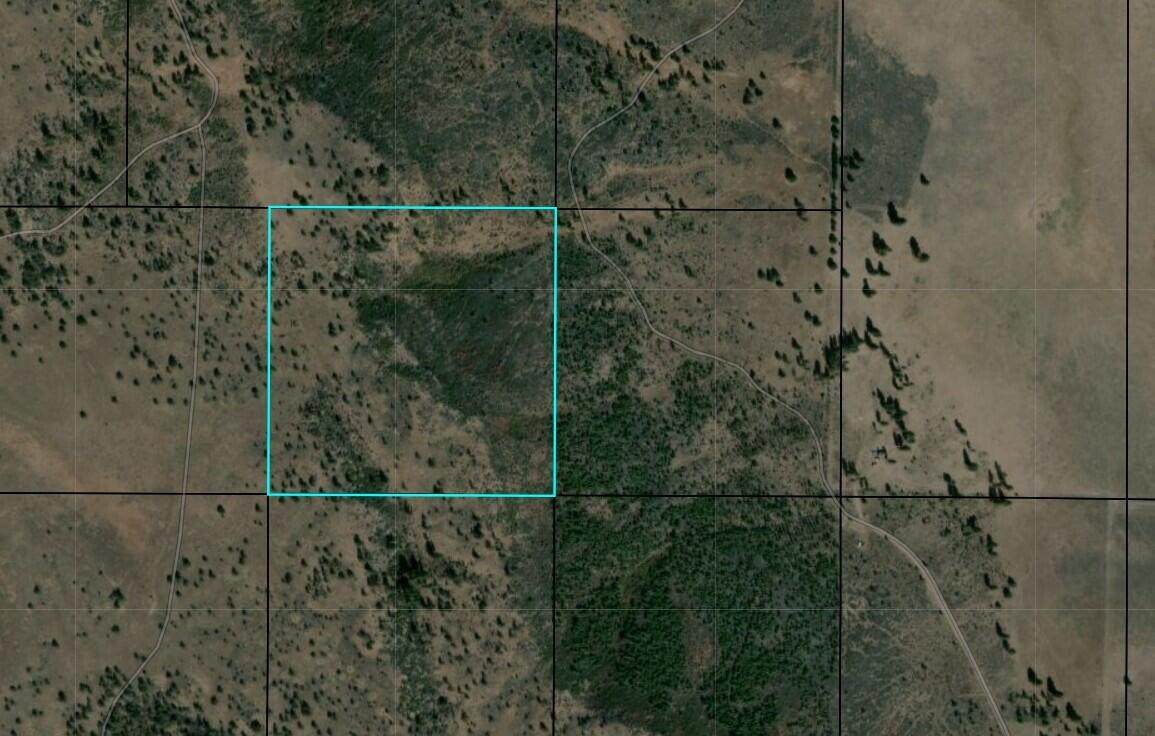  Tableland Road - Photo 1