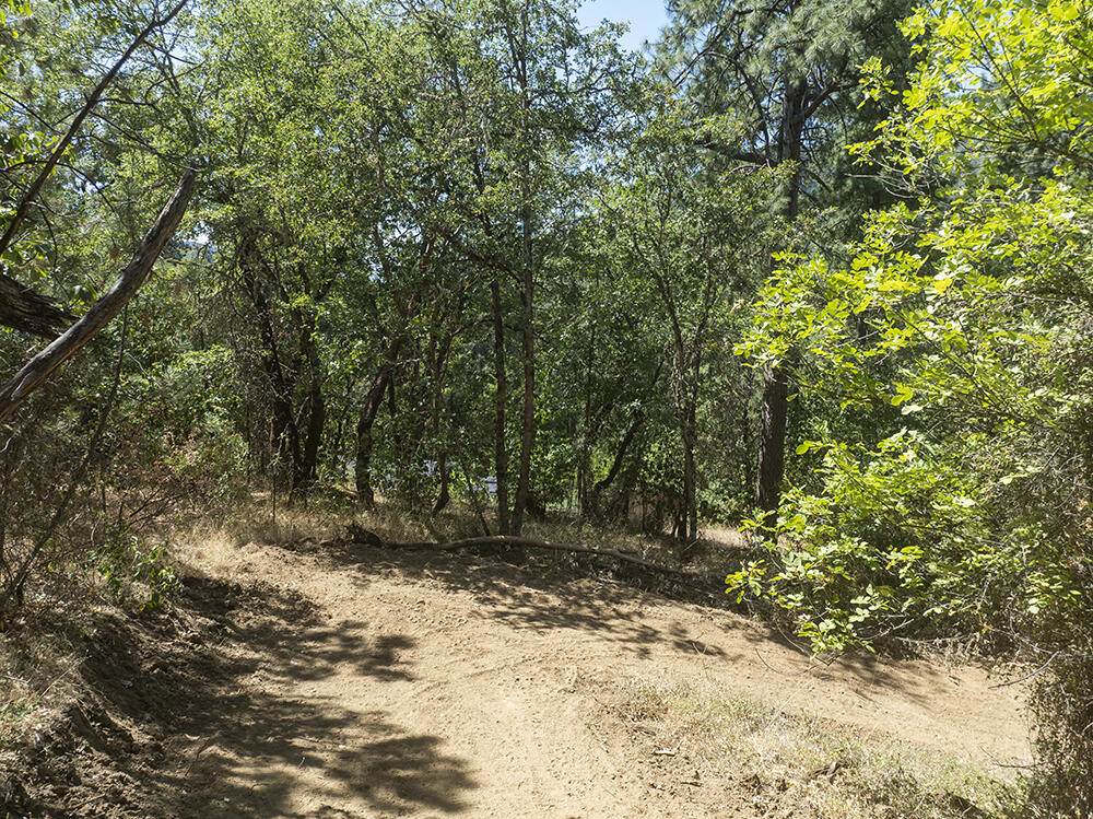 7827 Rogue River Highway - Photo 1